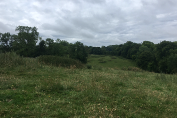 Boisement - Gueschart (80)