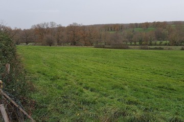 Boisement - Coulandon (03)