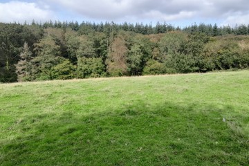 Boisement - Noues-de-Sienne (14)