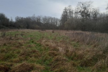Boisement - Blancafort (18)
