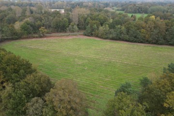 Boisement - Sully-la-Chapelle (45)