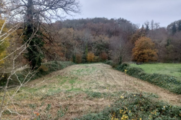 Boisement - La-Celle-Dunoise (23)