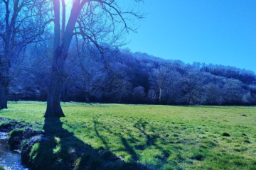 Boisement - La Celle Dunoise bis (23)