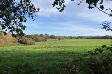 Boisement - Lanouaille (24)