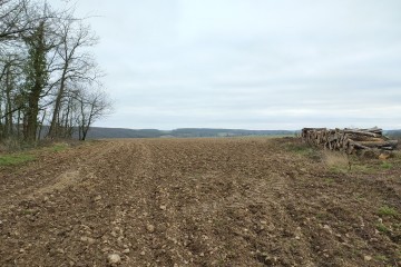 Boisement - Revercourt (28)