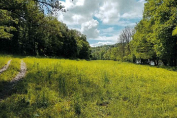 La Celle-Dunoise 2 (23)