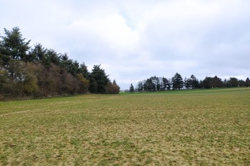 Boisement - Brou (28)