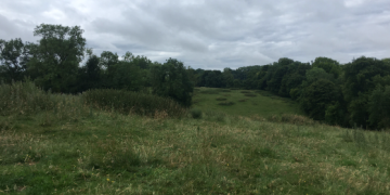 Boisement - Gueschart (80)