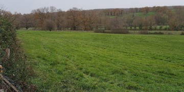 Boisement - Coulandon (03)