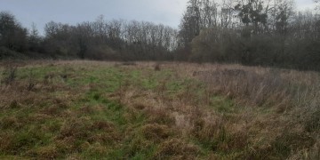 Boisement - Blancafort (18)