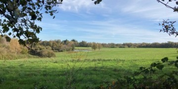 Boisement - Lanouaille (24)