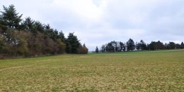 Boisement - Brou (28)