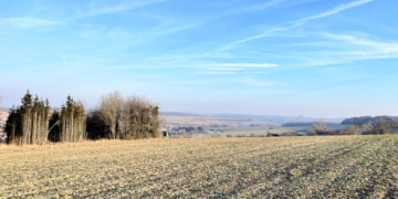 Boisement - Tromborn (57)