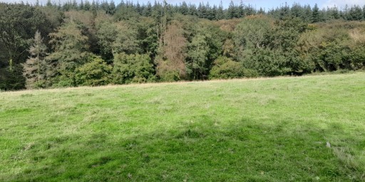 Boisement - Noues-de-Sienne (14)