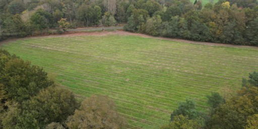Boisement - Sully-la-Chapelle (45)
