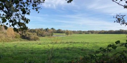 Boisement - Lanouaille (24)