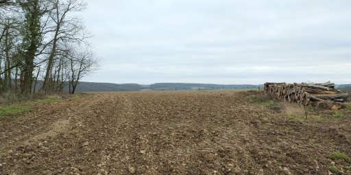 Boisement - Revercourt (28)