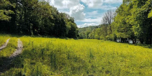 La Celle-Dunoise 2 (23)