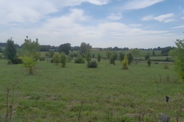 Boisement - Chavroches et Cindré (03)