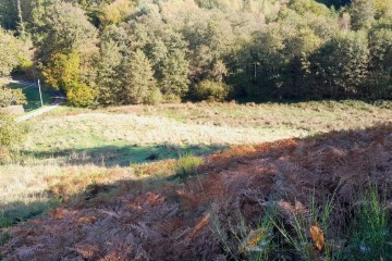 Boisement - Sousceyrac-en-Quercy