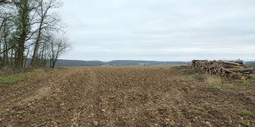 Boisement - Revercourt (28)